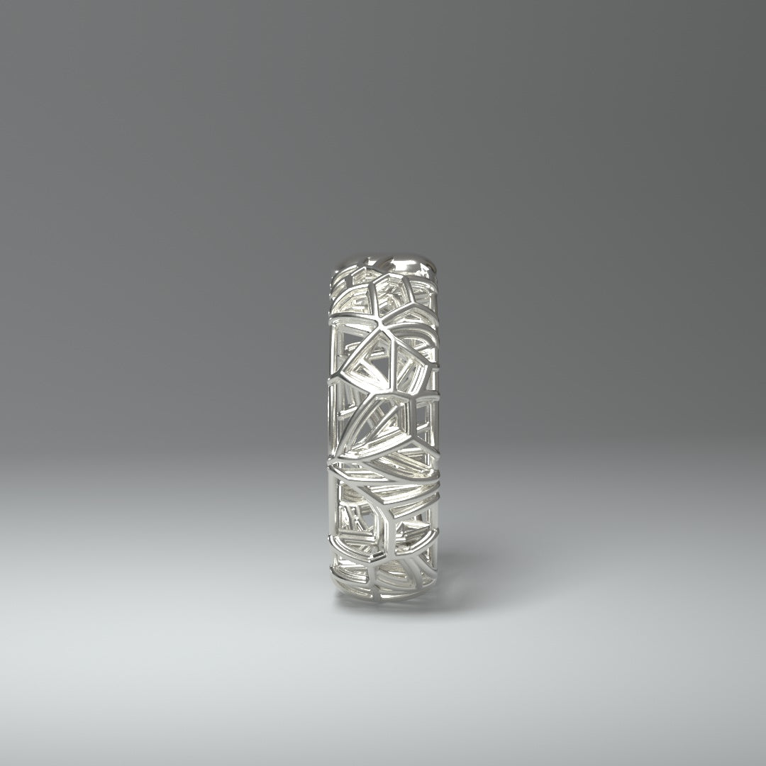 Silver ring | FRAMEWORK