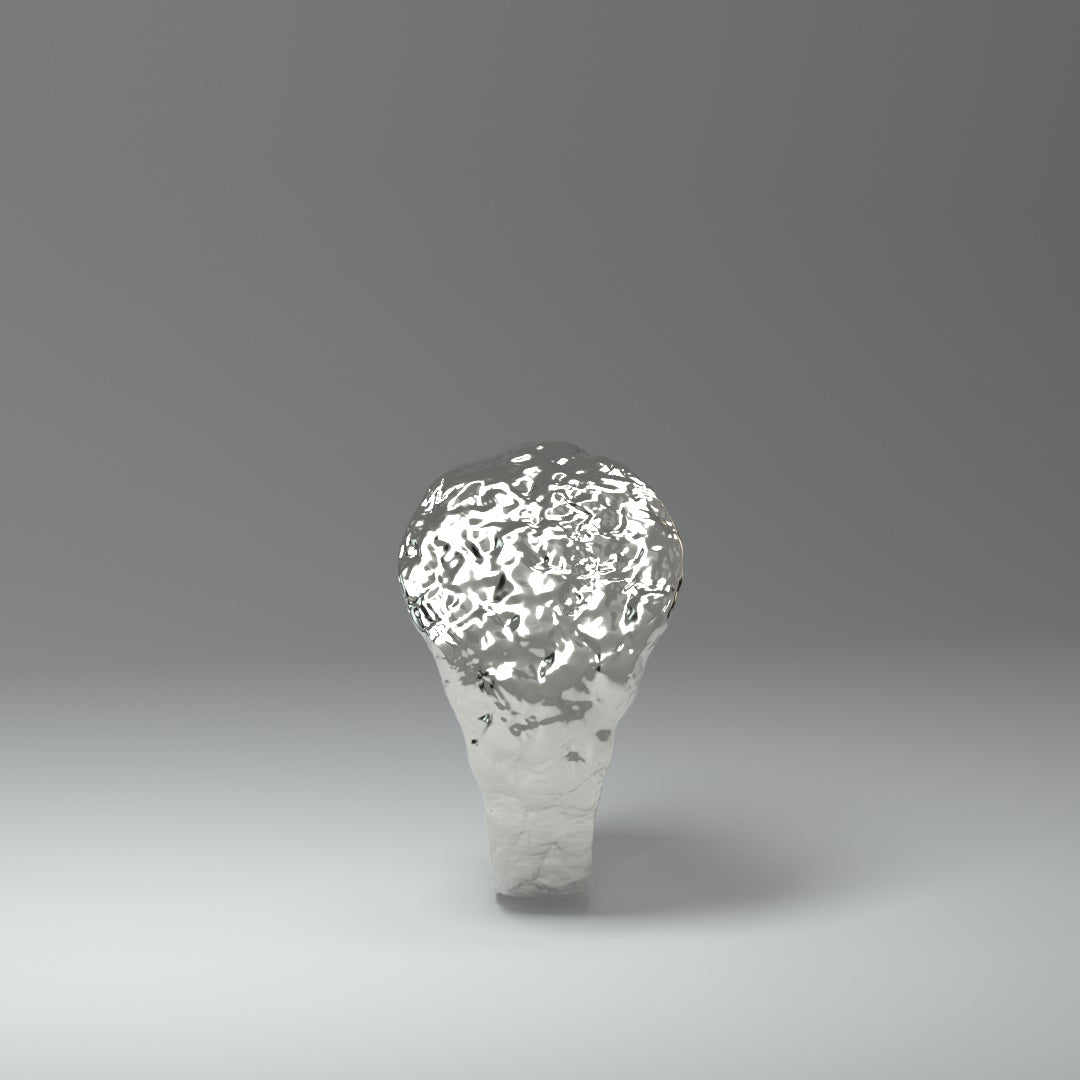 Anillo de sello de plata | ROUGH&RAW