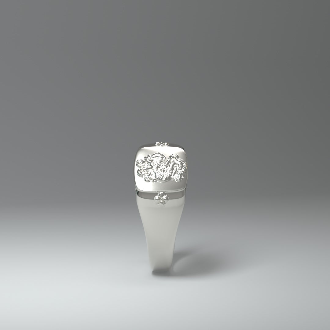 Signet ring silver | DRAGON