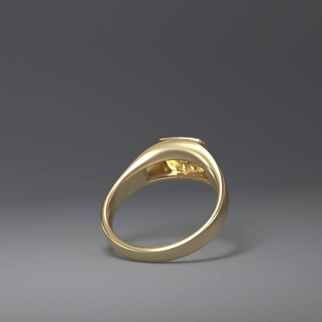 Siegelring "croc" 14K Gelbgold (585) - TOJOMI
