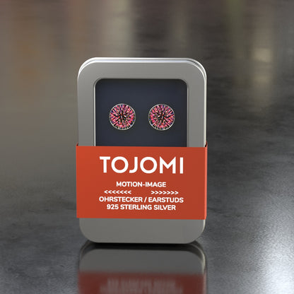 Earrings with motion image "Firework"