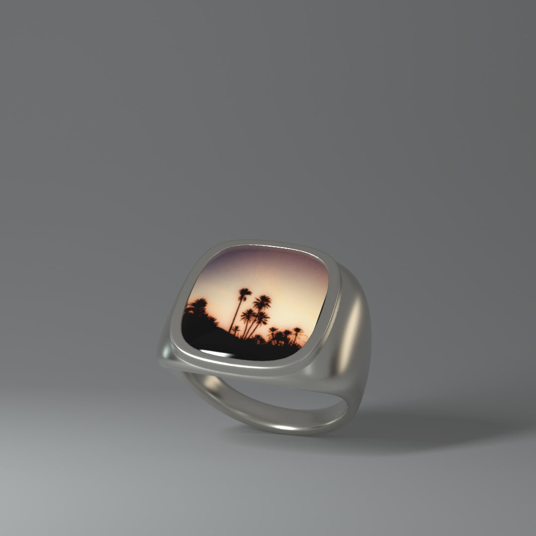  Signet ring | OASIS