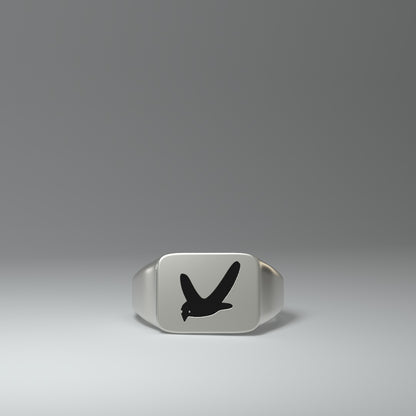 Signet ring | BIRD