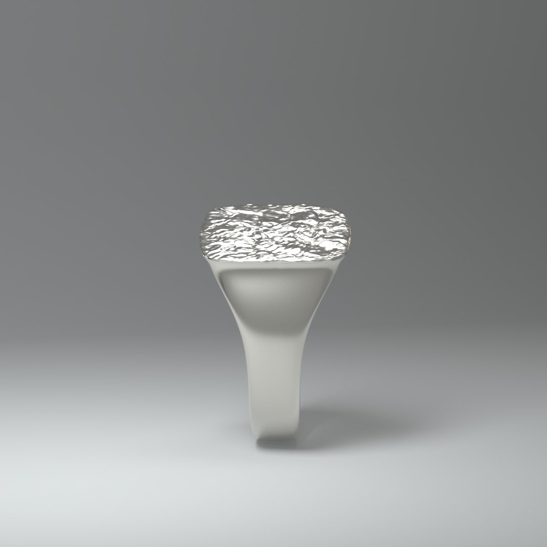 Anillo de sello de plata | LÁMINA DE PLATA ARRUGADA