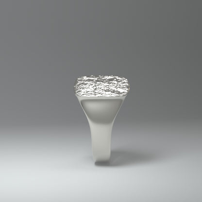 Anillo de sello de plata | LÁMINA DE PLATA ARRUGADA