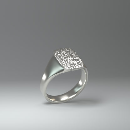 Anillo de sello de plata | LÁMINA DE PLATA ARRUGADA