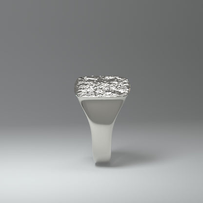 Anillo de sello de plata | LÁMINA DE PLATA ARRUGADA