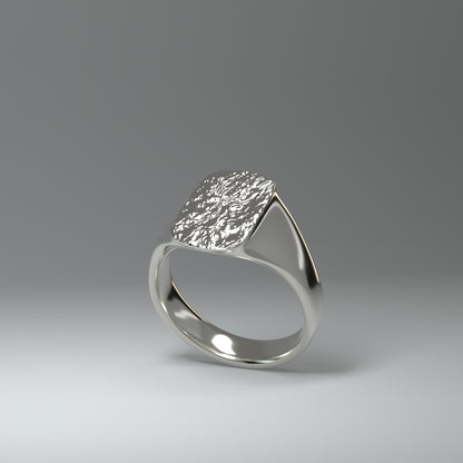 Anillo de sello de plata | LÁMINA DE PLATA ARRUGADA