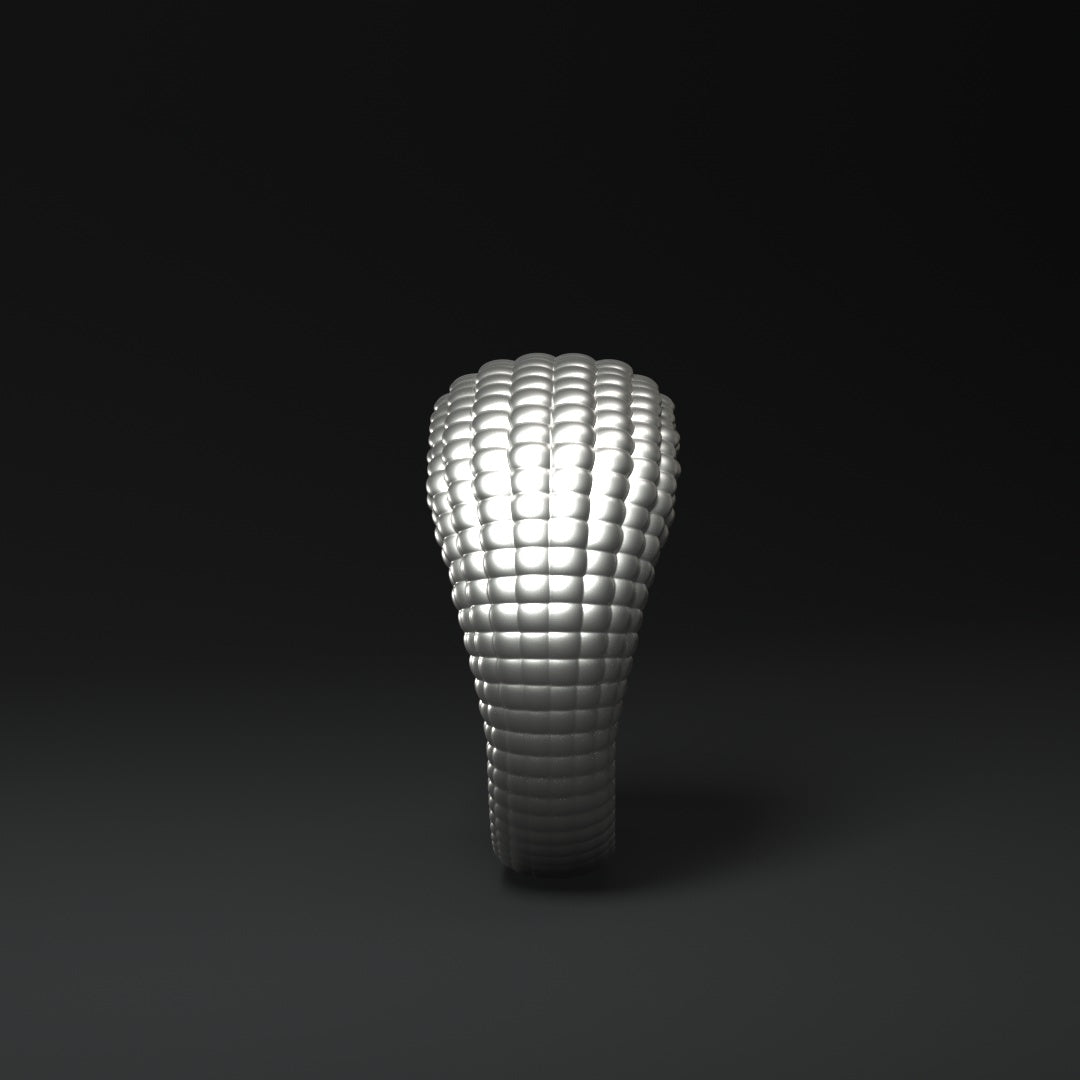 Wide silver ring | CORN