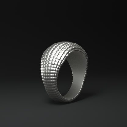 Wide silver ring | CORN