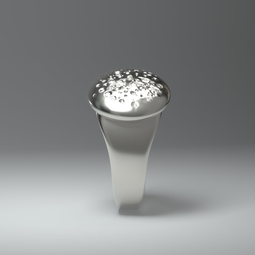  Chevalière ronde en argent | CRATERFIELD