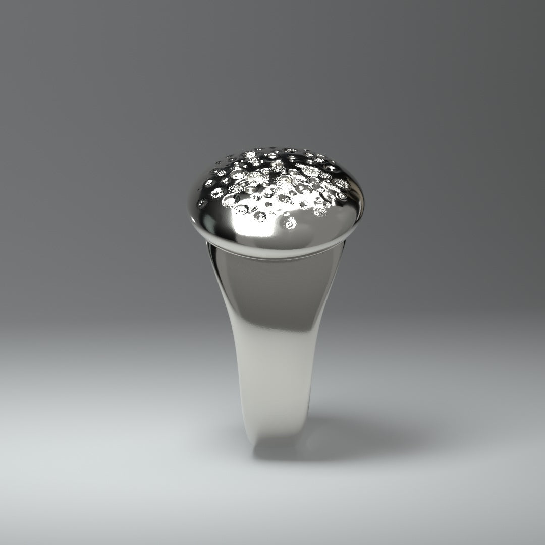  Chevalière ronde en argent | CRATERFIELD