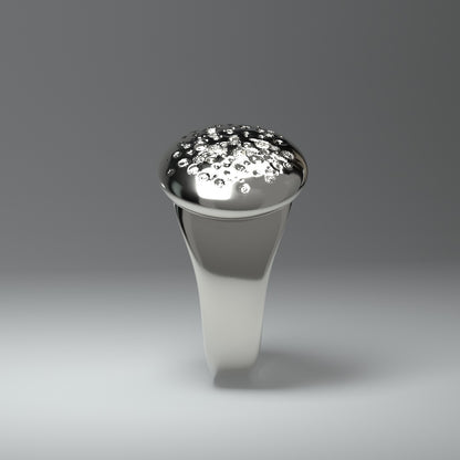  Chevalière ronde en argent | CRATERFIELD