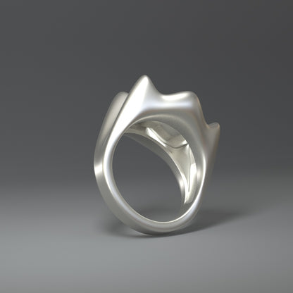 Grande bague en argent | CROWN SPLASH