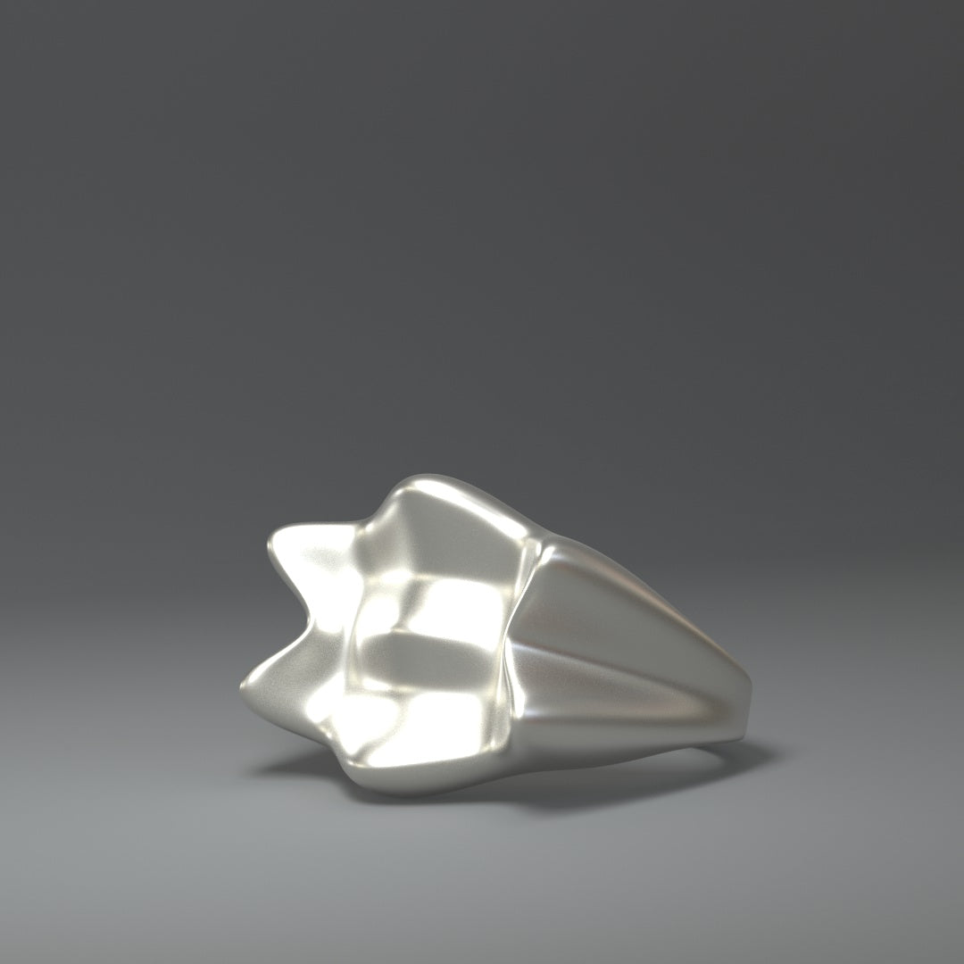 Grande bague en argent | CROWN SPLASH