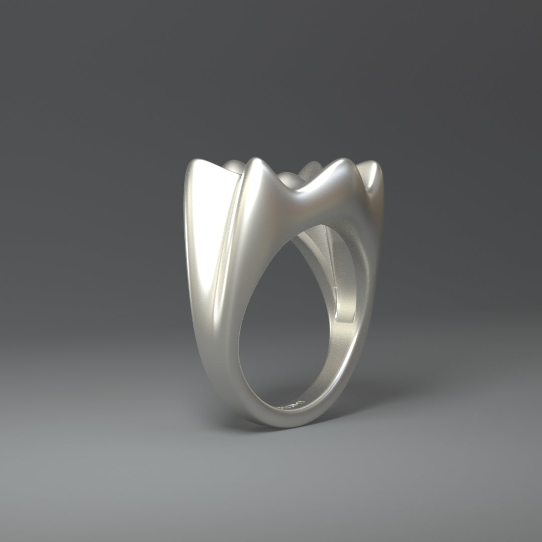 Grande bague en argent | CROWN SPLASH