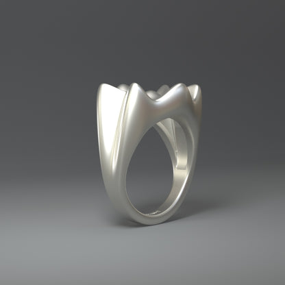 Grande bague en argent | CROWN SPLASH