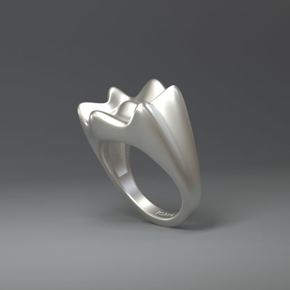 Grande bague en argent | CROWN SPLASH