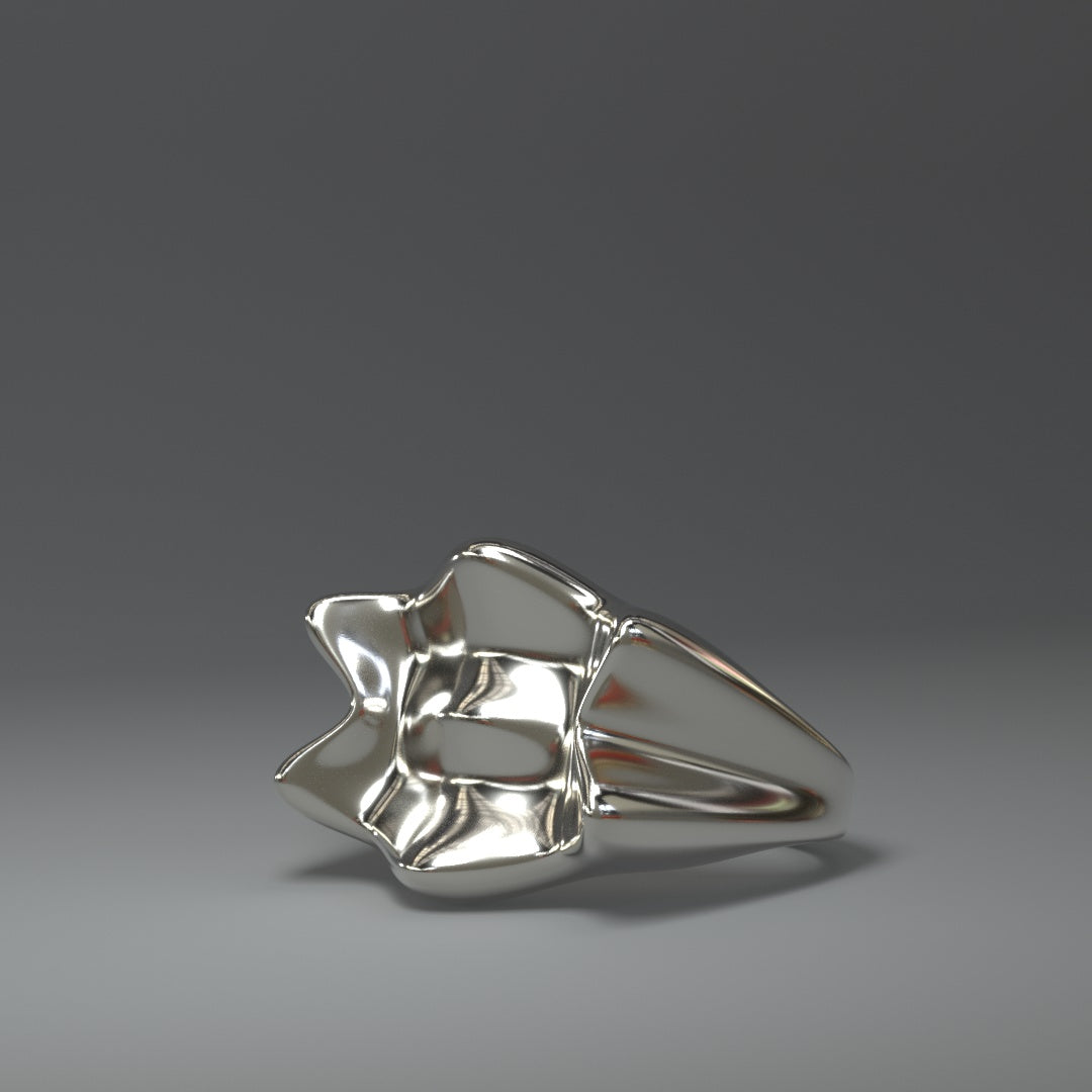 Grande bague en argent | CROWN SPLASH