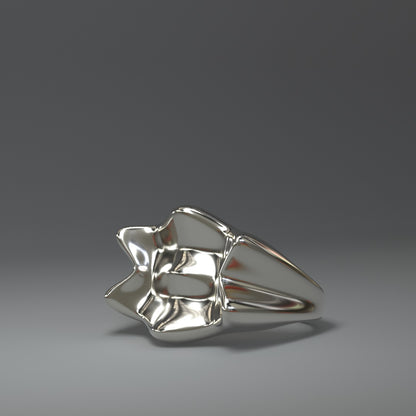 Grande bague en argent | CROWN SPLASH