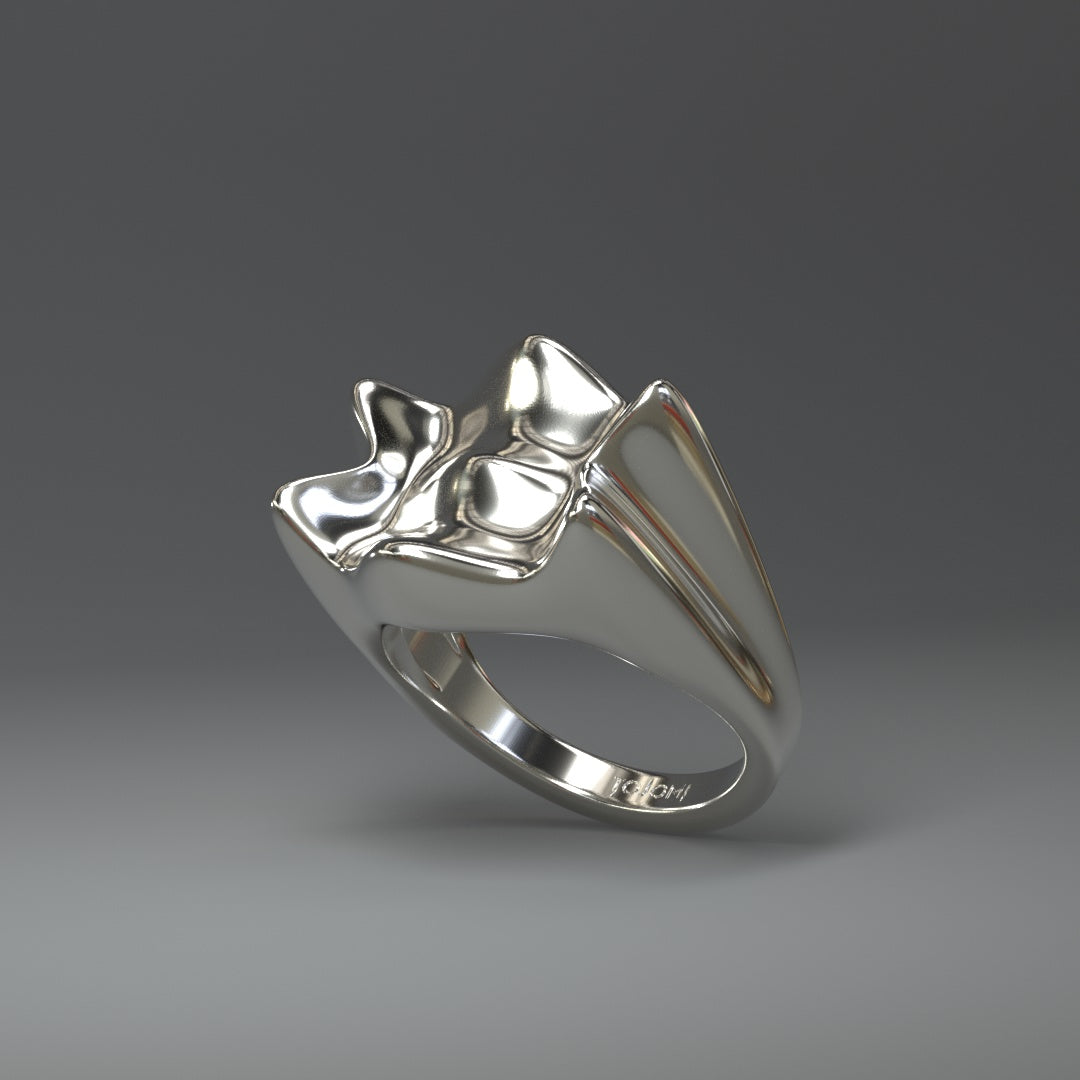 Grande bague en argent | CROWN SPLASH