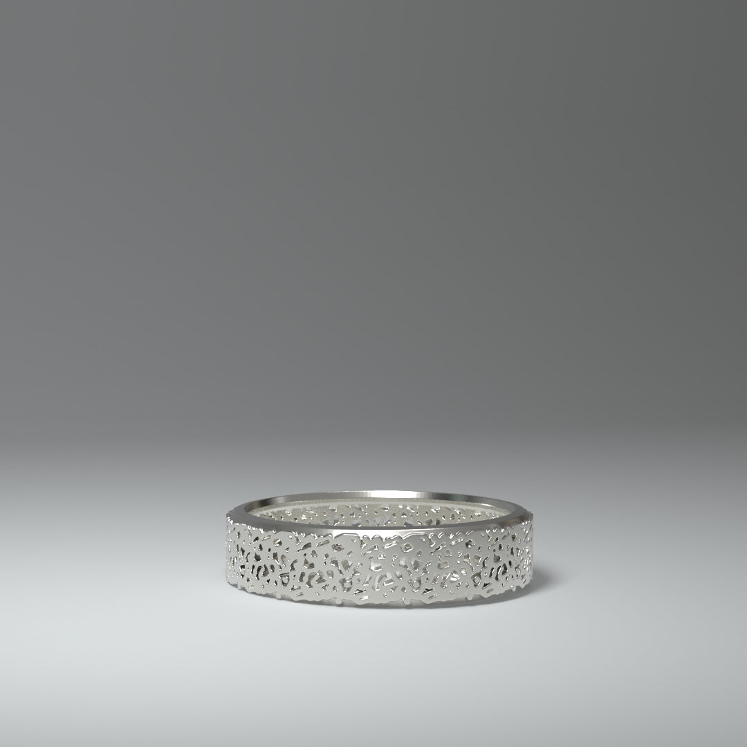 Anillo de banda de plata | RECORTE