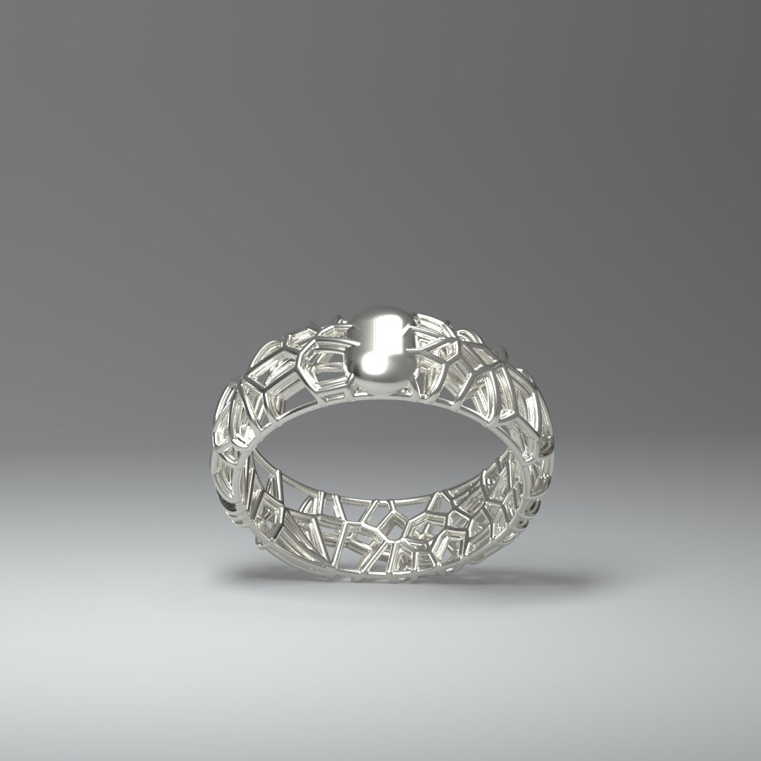 Silver ring | FRAMEWORK