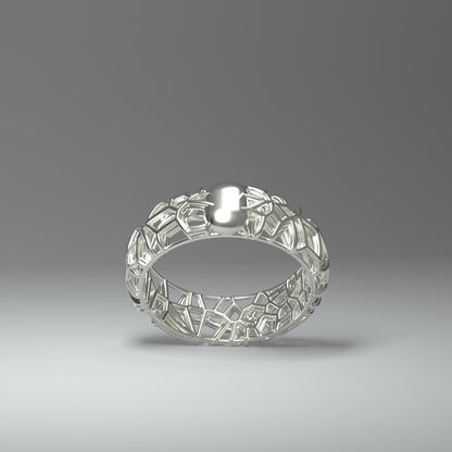 Silver ring | FRAMEWORK