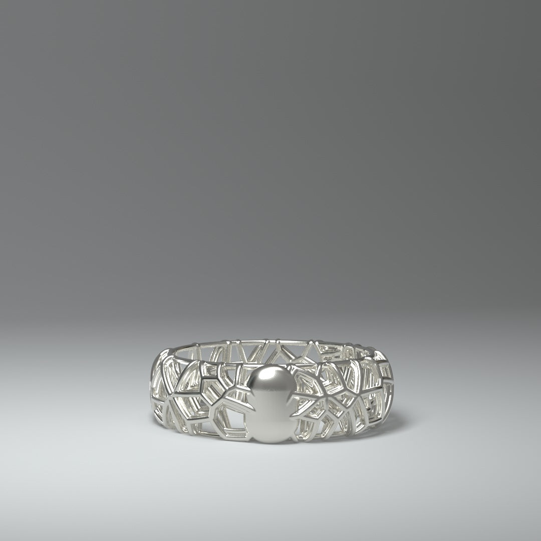 Silver ring | FRAMEWORK