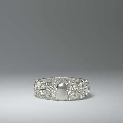 Silver ring | FRAMEWORK
