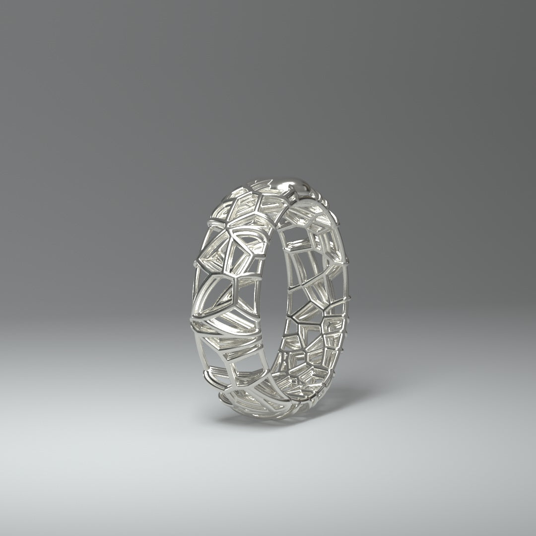Silver ring | FRAMEWORK