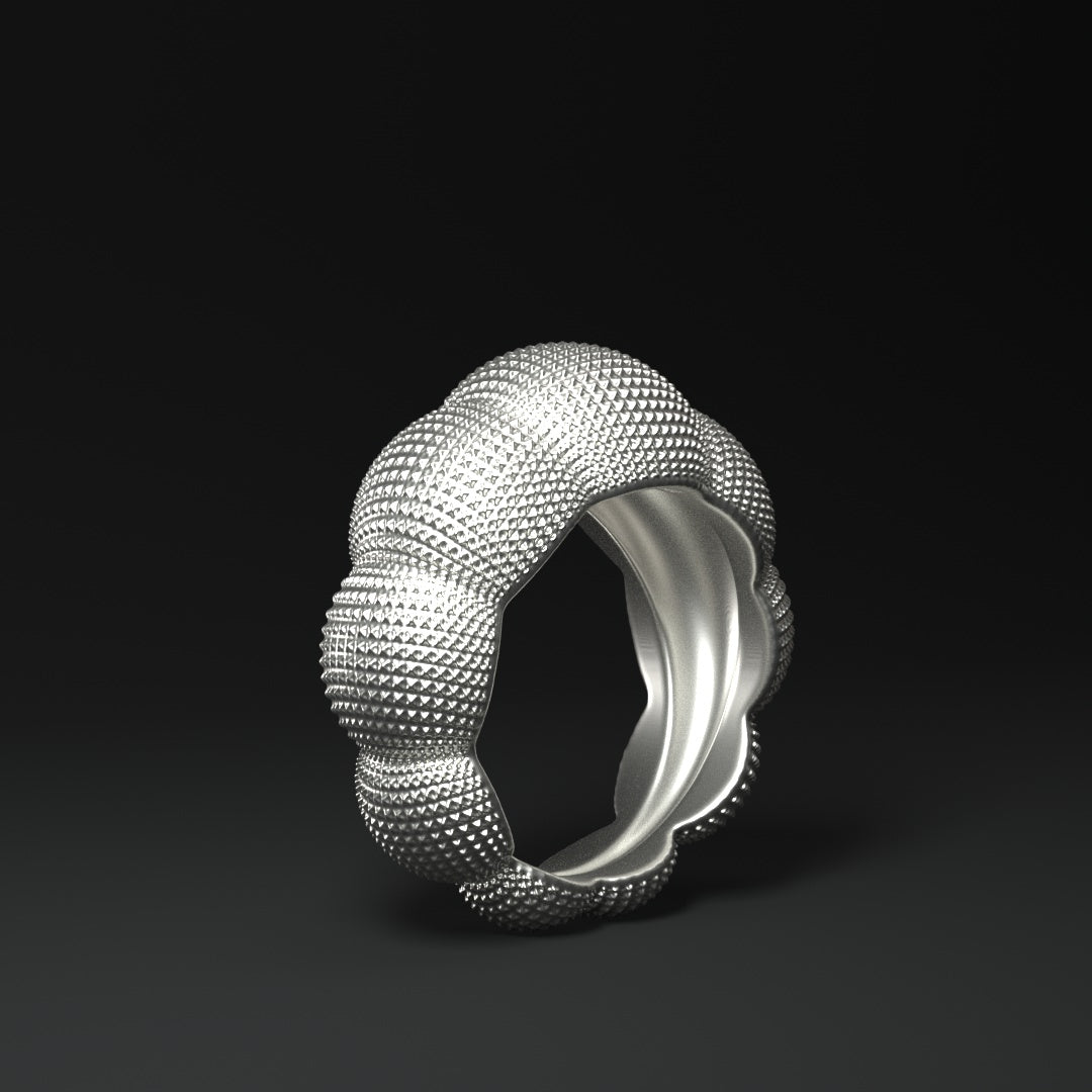 Anillo de plata con diseño llamativo | CÚPULAS ESTRUCTURADAS