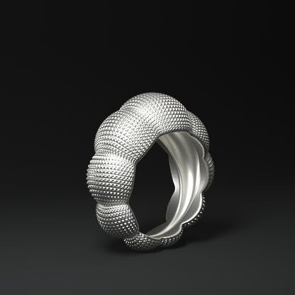 Anillo de plata con diseño llamativo | CÚPULAS ESTRUCTURADAS