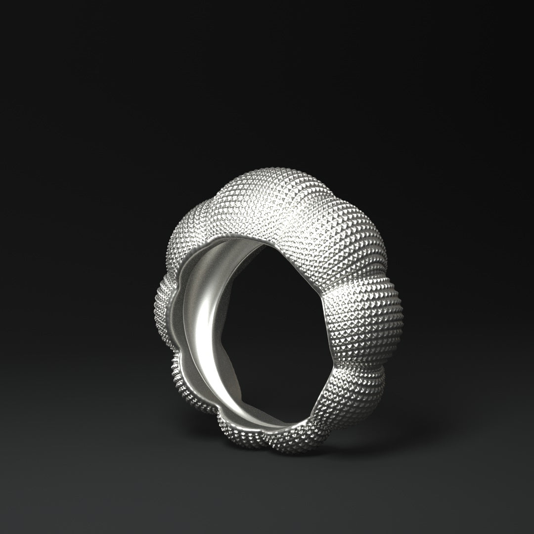 Anillo de plata con diseño llamativo | CÚPULAS ESTRUCTURADAS