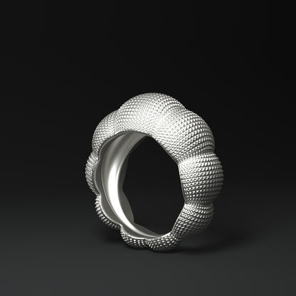 Anillo de plata con diseño llamativo | CÚPULAS ESTRUCTURADAS