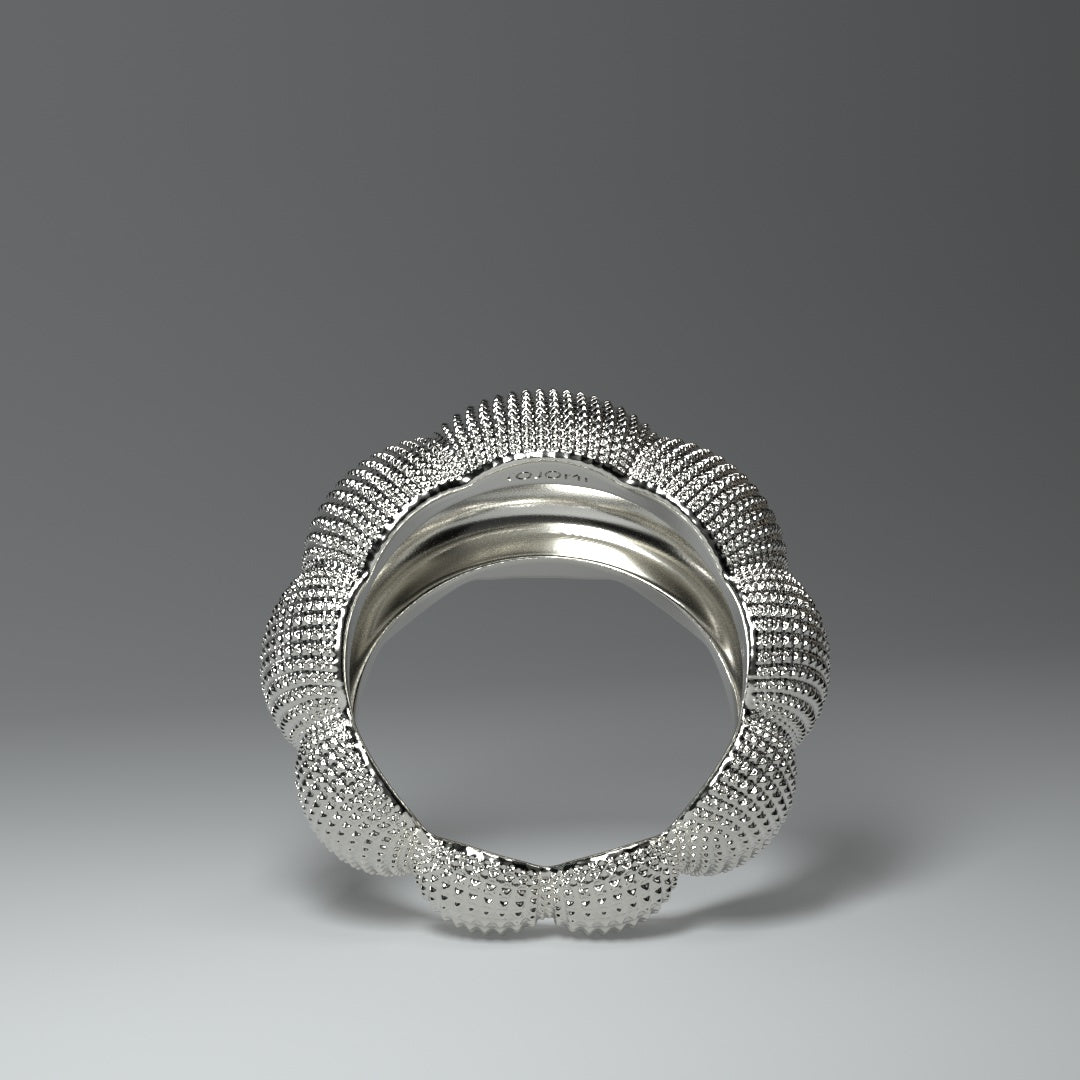 Anillo de plata con diseño llamativo | CÚPULAS ESTRUCTURADAS