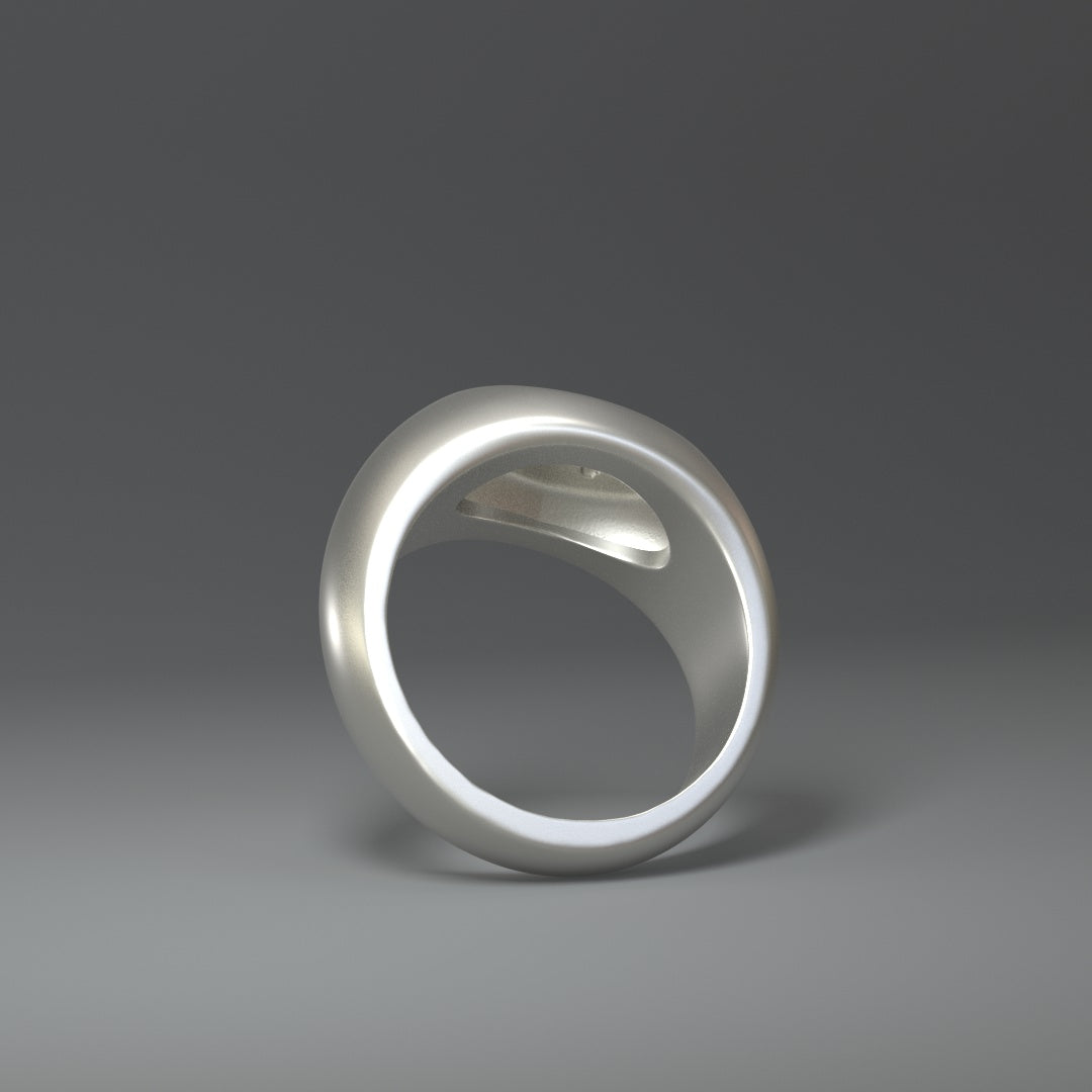 Siegelring silber mit Schmetterling Relief