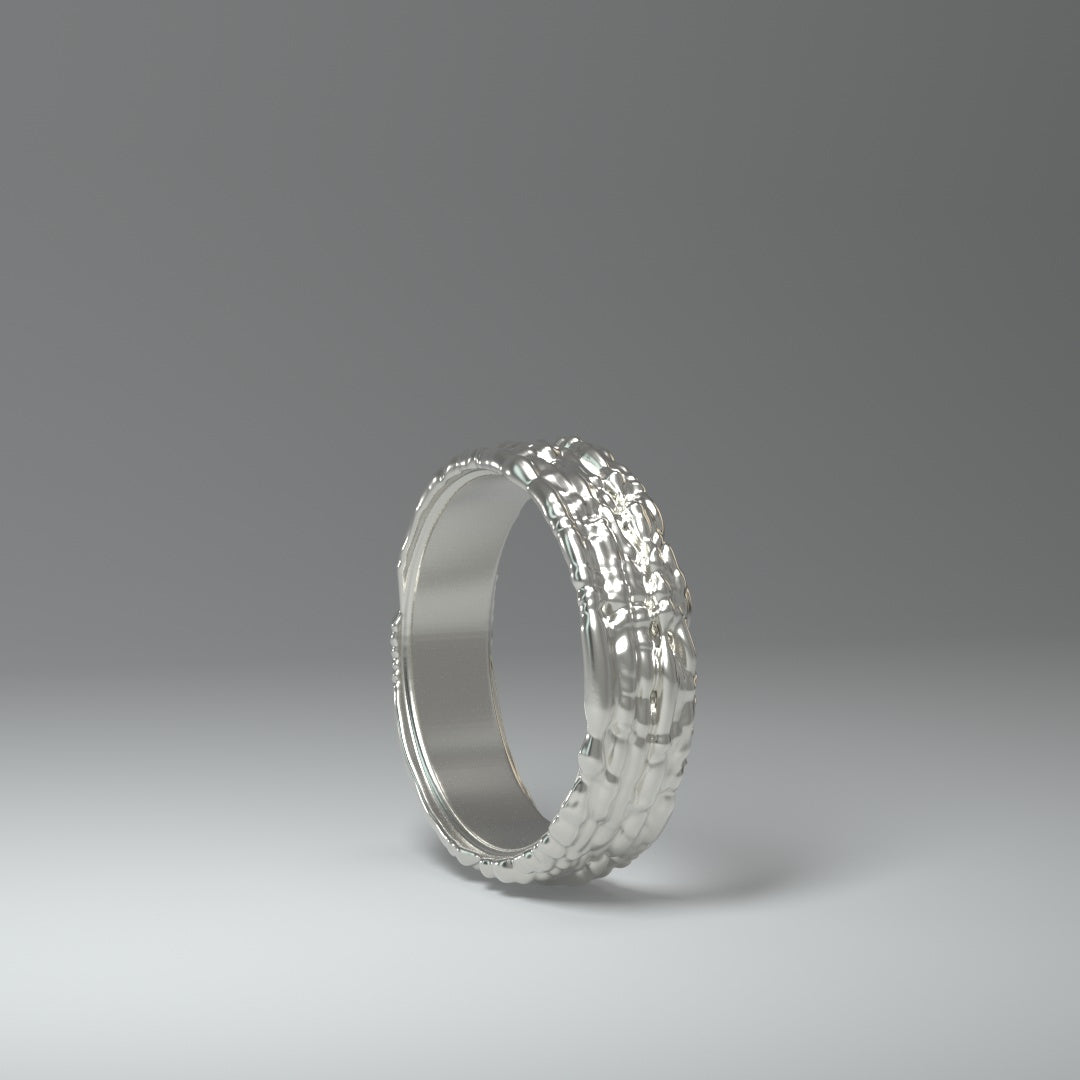  Anello a fascia in argento | NOISY TRAILS