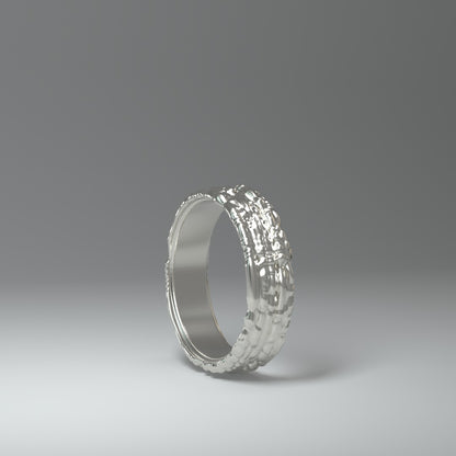  Anello a fascia in argento | NOISY TRAILS