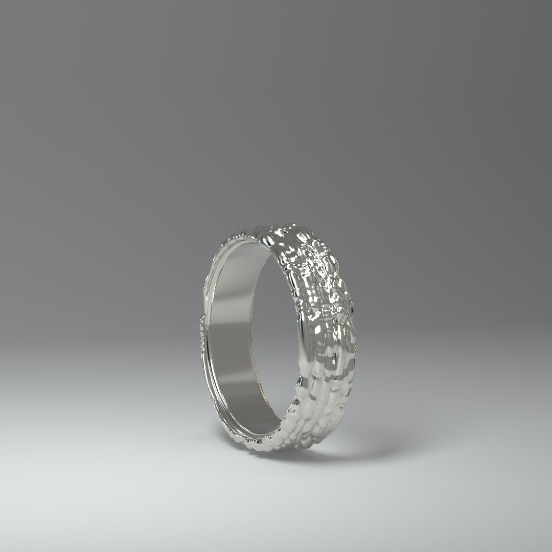  Anello a fascia in argento | NOISY TRAILS