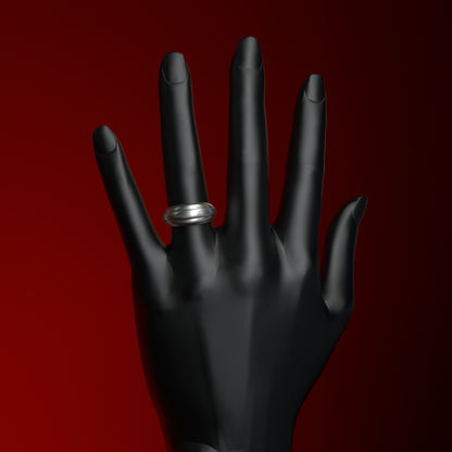 Silberring  | RINGS ON RING