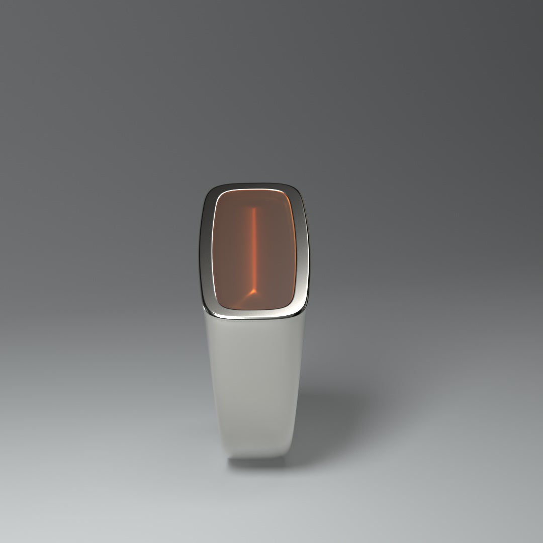 Anillo de sello de plata | LA LÍNEA