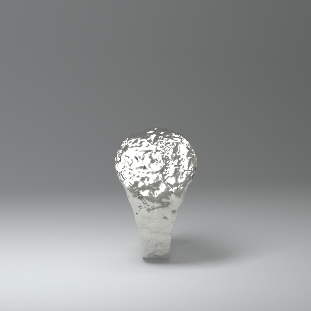  Anillo de sello de plata | ROUGH&RAW