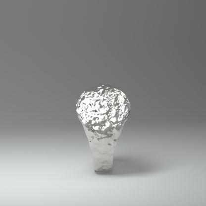  Anillo de sello de plata | ROUGH&RAW