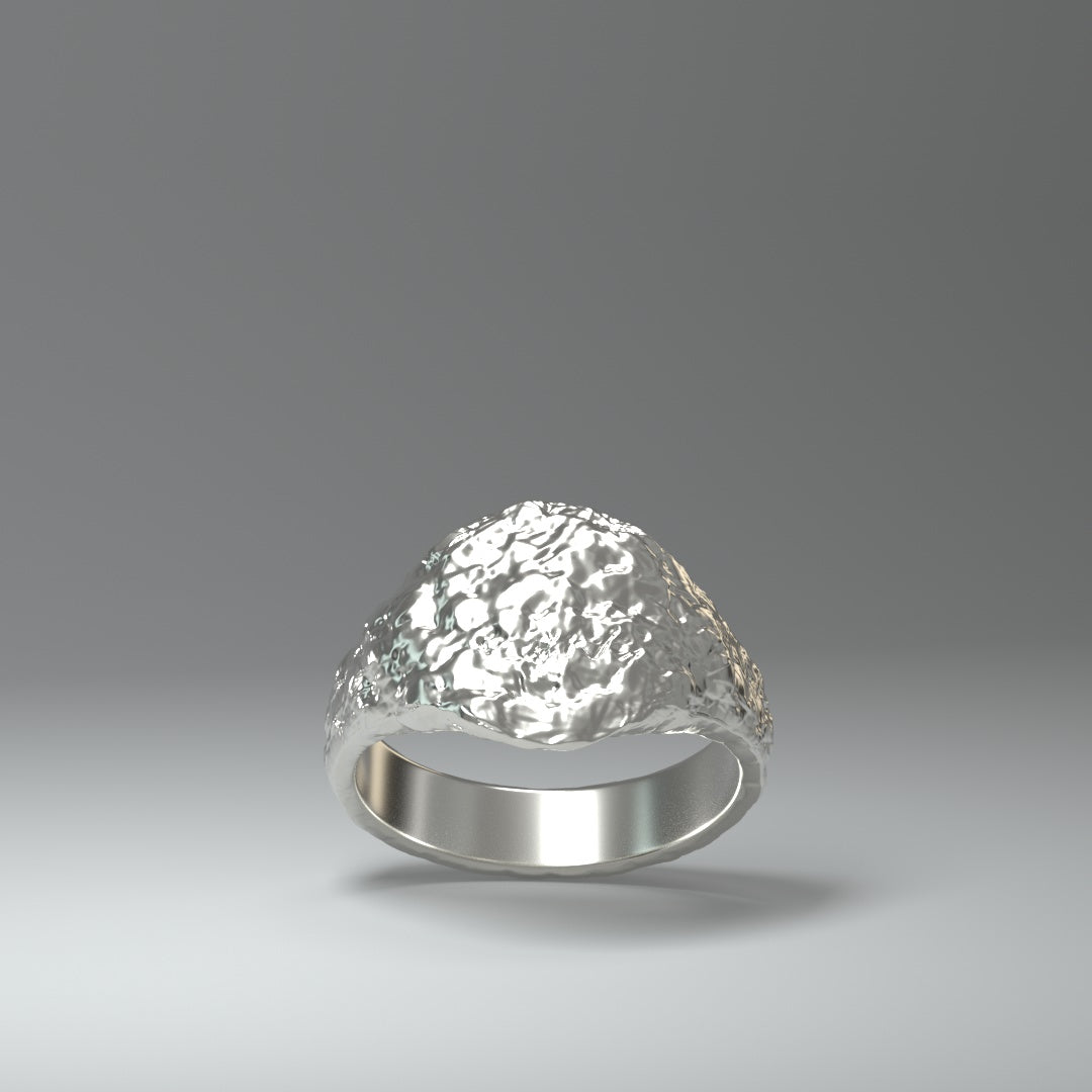  Anillo de sello de plata | ROUGH&RAW