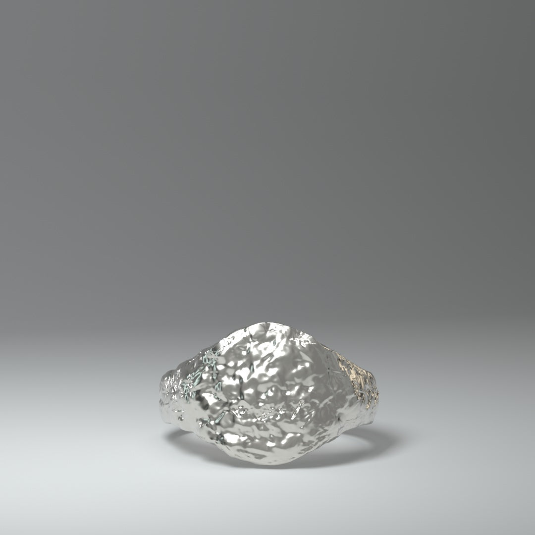  Anillo de sello de plata | ROUGH&RAW