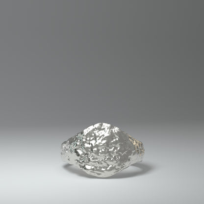  Anillo de sello de plata | ROUGH&RAW