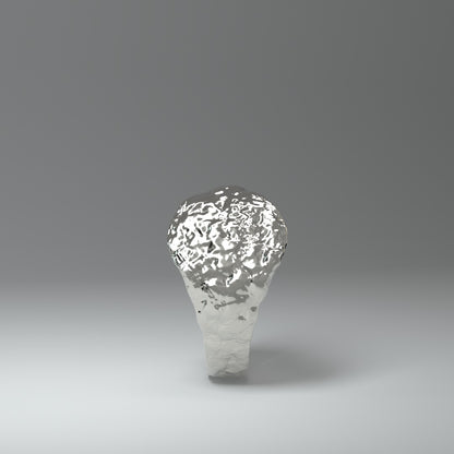 Anillo de sello de plata | ROUGH&RAW
