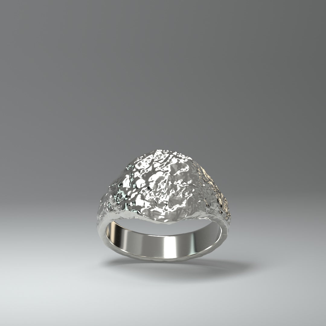  Anillo de sello de plata | ROUGH&RAW