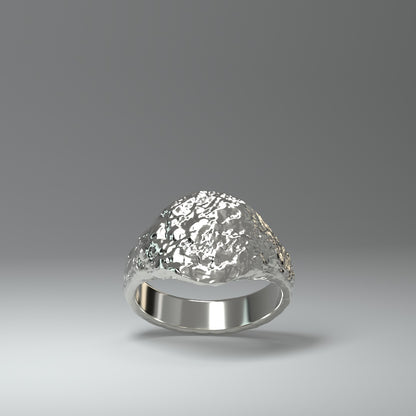  Anillo de sello de plata | ROUGH&RAW